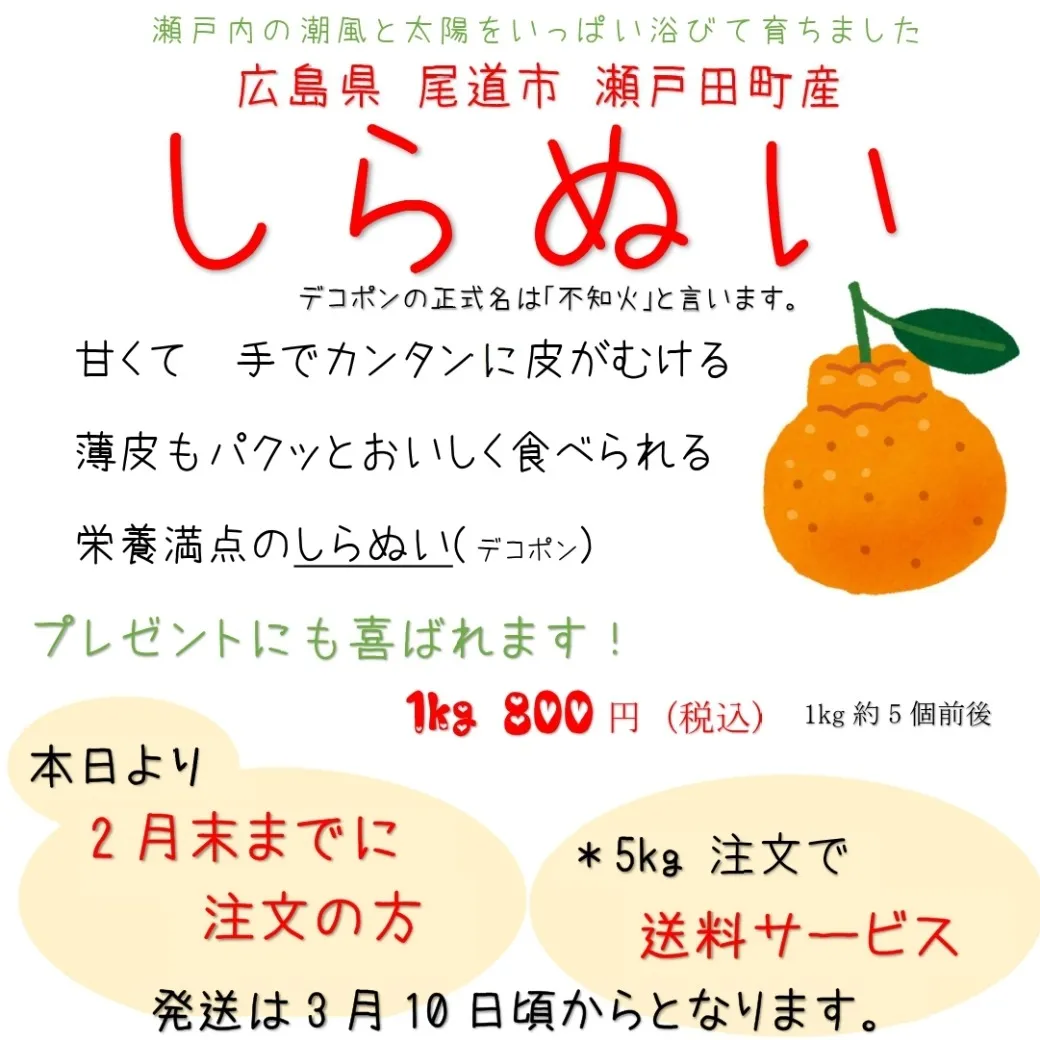【早期予約】【送料無料】 愛菜連の不知火(デコポン)(5kg:25~30個)