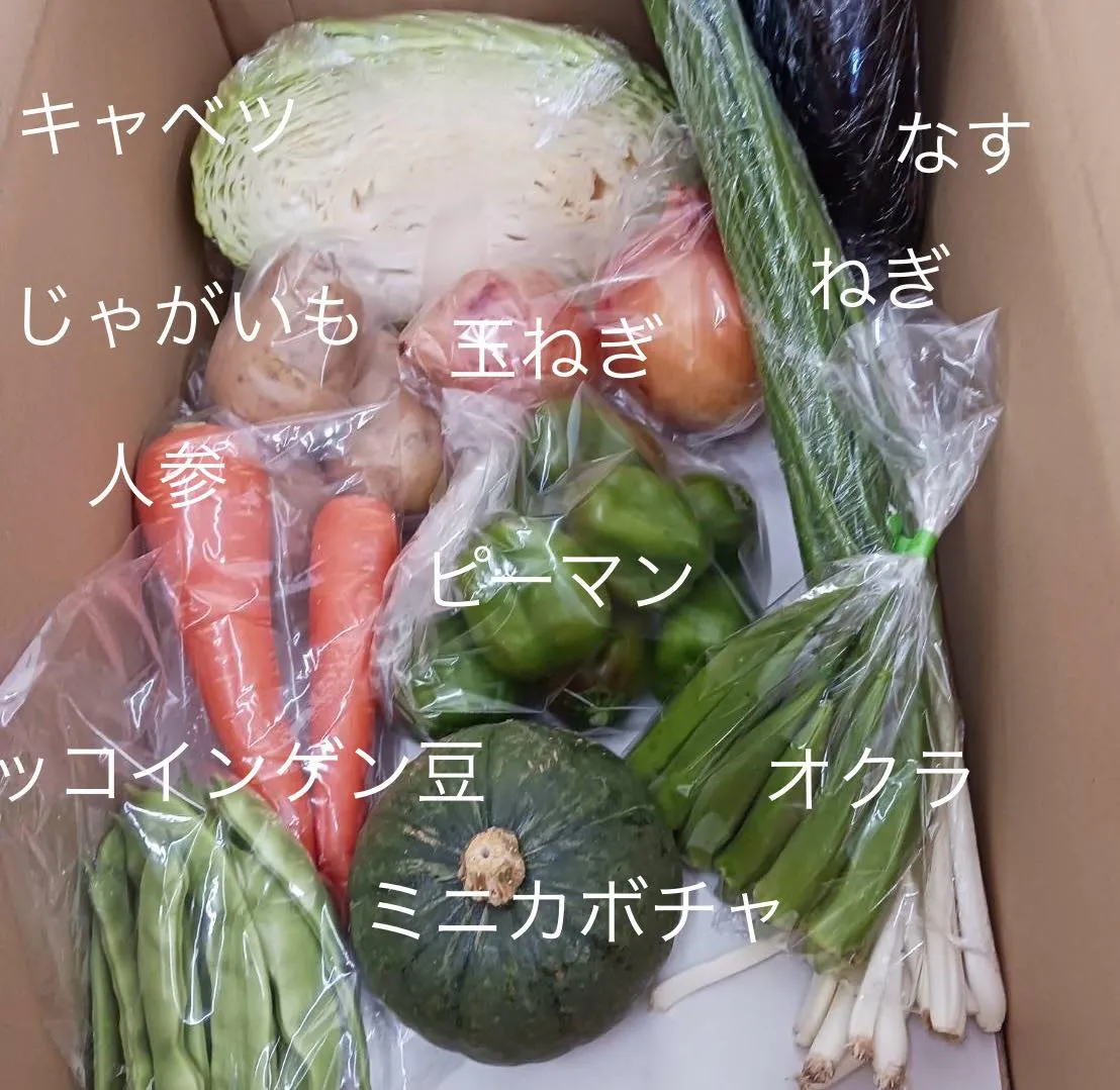 今週も新鮮な野菜パックをお届けします!今回は、地元の農家さん...