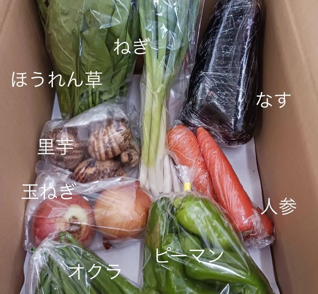 今週のおまかせ野菜パック(4人用)の中身を大公開!