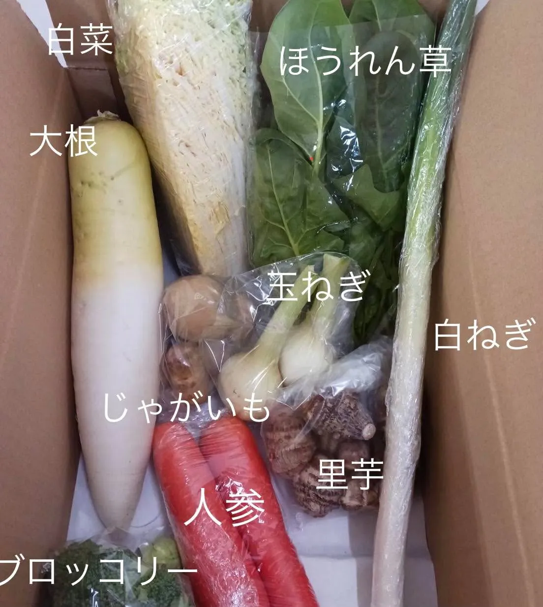 今週の野菜パックの中身を久々にお披露目します!地域の農家さん...